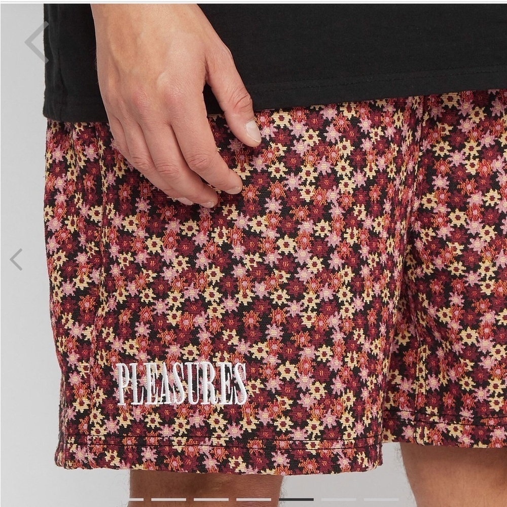 NWOT Pleasures Helium woven Floral Shorts large